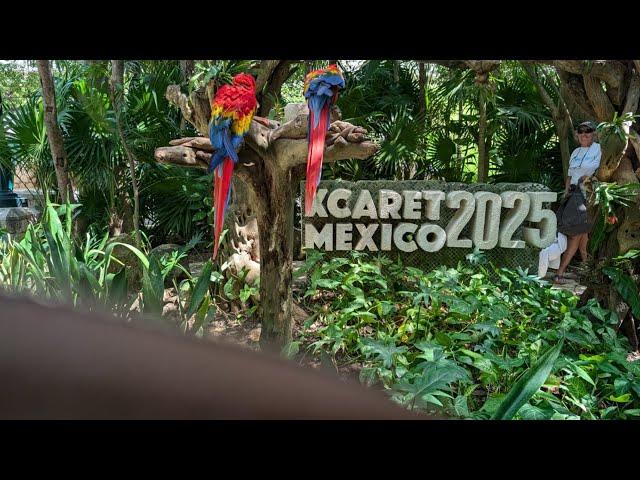 XCARET MEXICO 2025 | DANZA DE MAYAS #xcaret #maya #cancun #shorts #viral #tradicionales #turismo