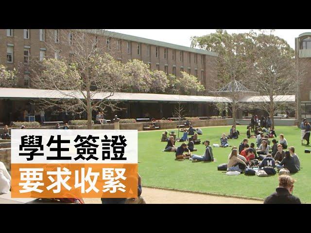 聯邦政府收緊澳洲學生簽證申請要求 | SBS中文