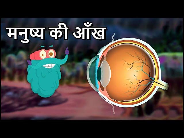 ह्यूमन ऑय | मनुष्य की आँख | Human Eye in Hindi | Dr.Binocs Show | Educational Videos For Kids