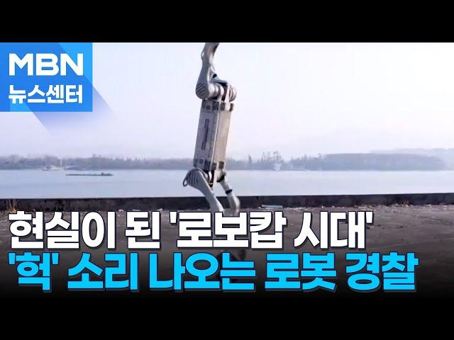 엄청난 스피드에 맷집까지…현실이 된 SF 속 '로보캅 시대' [MBN 뉴스센터]