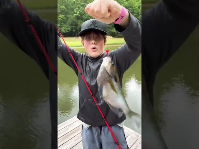 World record blue gill?