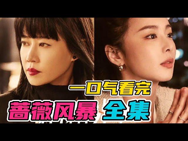 一口气看完《蔷薇风暴》全集：谭卓高叶双大女主主演的都市职场情感剧。