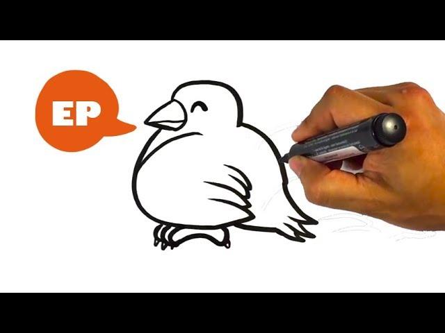 How to Draw Cute Bird - Step by Step - Easy Pictures to Draw