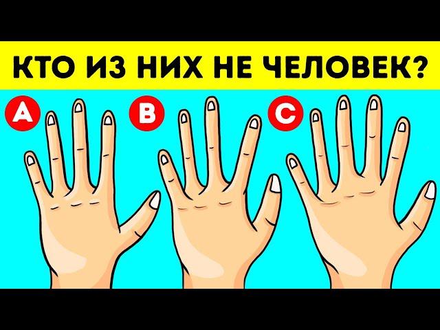 16 загадок, с которыми без вас не сможет справиться даже опытный детектив!