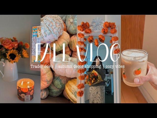 Fall Vlog Autumn is here! getting in the fall mood ️Trader Joe's | Fall shopping | Cozy vibes! 