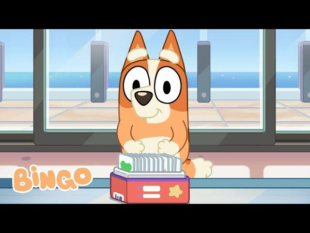 Bingo Ballerina! 🩰  | Bluey Series 2 Highlight - Charades  | Bingo - Official Channel