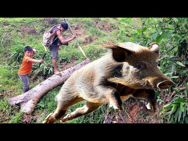 hunting giant wild boar - terrible survive power / multi-day survival trip, part 1