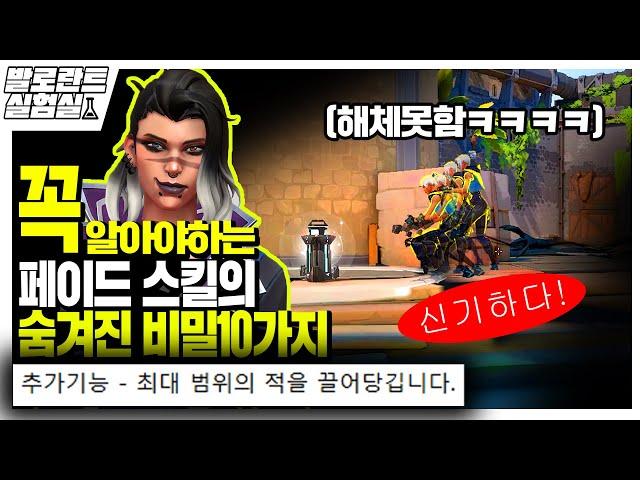 발로란트 유저99%가 몰랐던 페이드의 충격적인 비밀들..! ㅣ발로란트마닥개