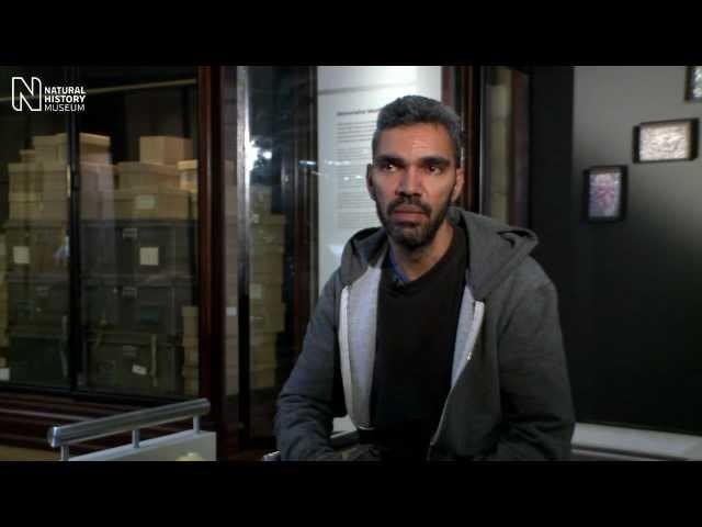 First Fleet: Tracing the past with artist Daniel Boyd | Natural History Museum