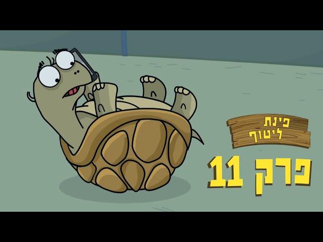 ניר וגלי פינת ליטוף - ליגת האלופות