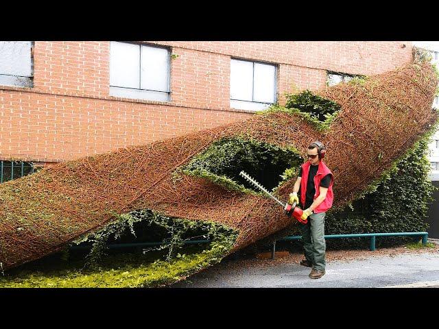 40 Minutes Of Satisfying Workers Doing Their Job Perfectly