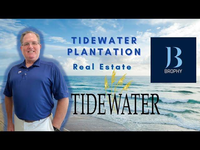 Tidewater Plantation Homes For Sale