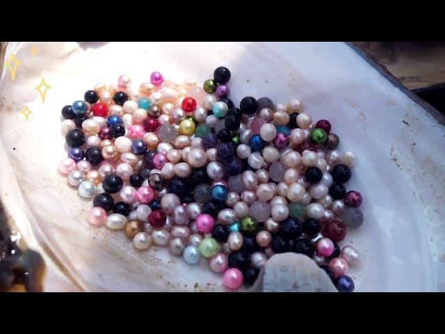 Satisfied Pearls / Decompression process of releasing freshwater pearls in shallow river beaches