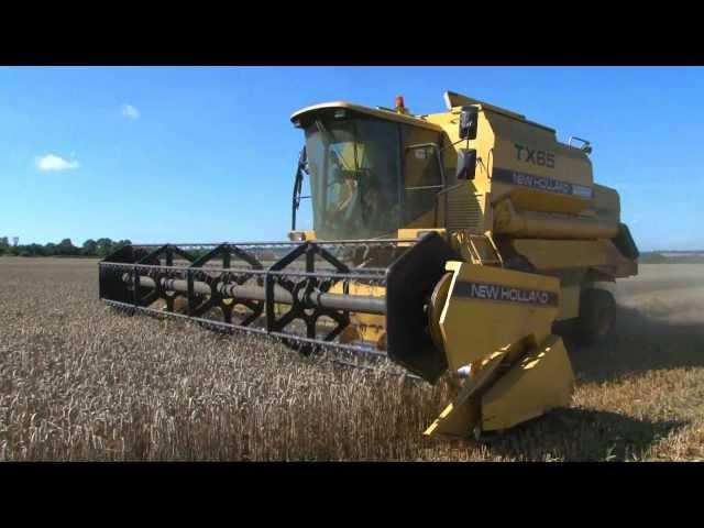 HARVESTING WHEAT -  from ' bee bright - OUT AND ABOUT ON THE FARM - INCREDIBLE CROPS!'