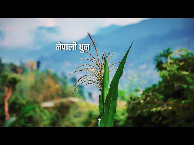 Nepali Dhun | Nepali Flute Music (बाँसुरी )Nepali Folk Intrumental Music