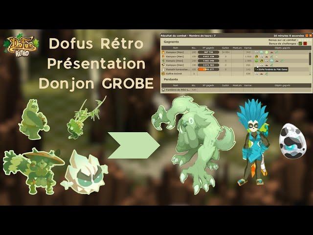 Dofus Rétro, Présentation complète Donjon GROBE !! Péki GAROU 