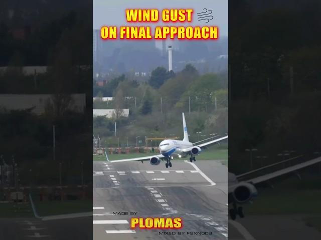 Strong Crosswind Gusts on Final Approach - Enter-Air 737 #shorts #aviation