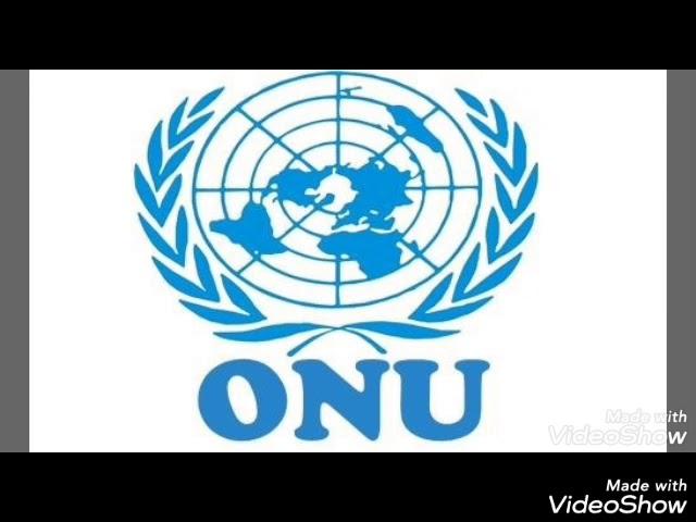 La importancia al nivel internacional de la ONU y los Derechos Humanos