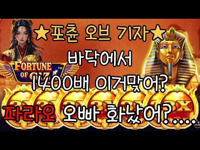 【슬롯여제】 포춘오브기자 어디까지 먹을수있을까??...