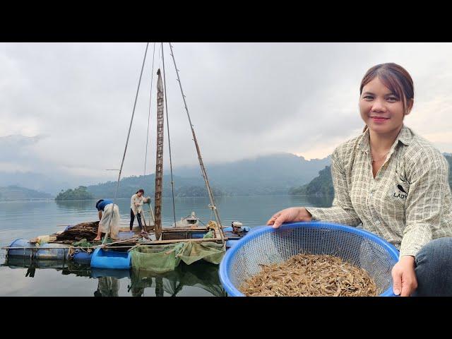 The girl and her brother harvested shrimp using a giant trap 10 meters high.