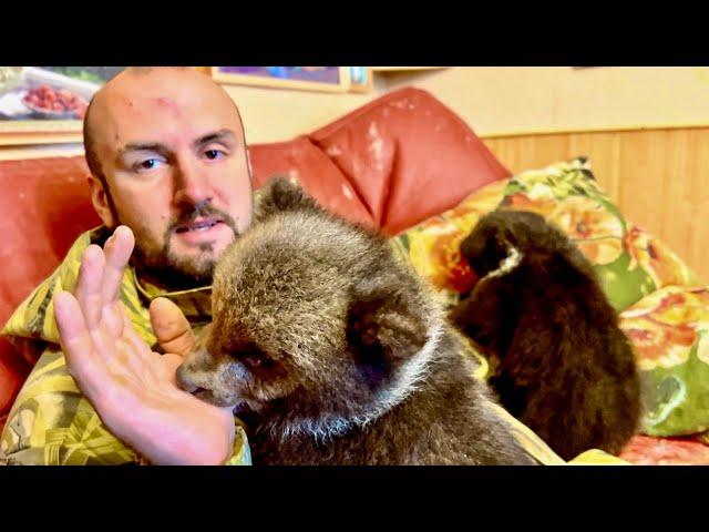 Денис всегда с радостью соглашается на игры с мишками, он просто НЕ МОЖЕТ СКАЗАТЬ ИМ НЕТ!