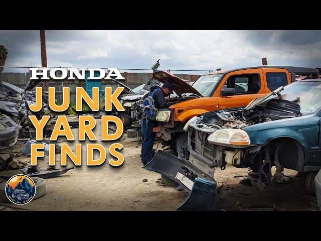 Hitting the Jackpot with Honda Element Parts | Junk Yard Adventures