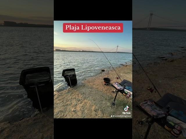 Plaja Lipoveneasca Braila #pescuitlafeeder #dunare #danube #fishing #galati #braila #morunas #caras