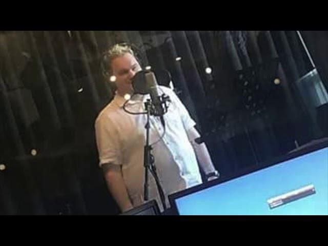 Michael Marshall voiceover Demo Risk Sound
