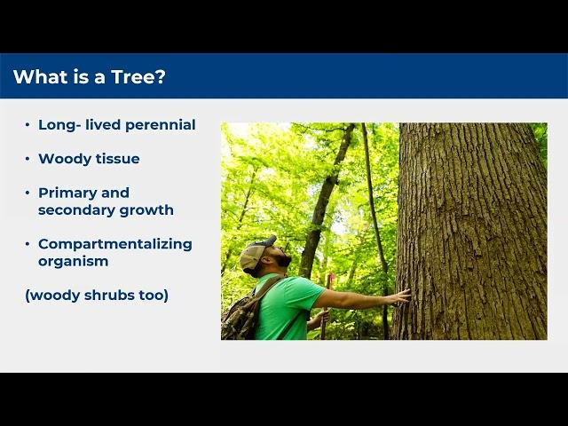 Tree and Soil Biology 101 (Tree Stewards 1)