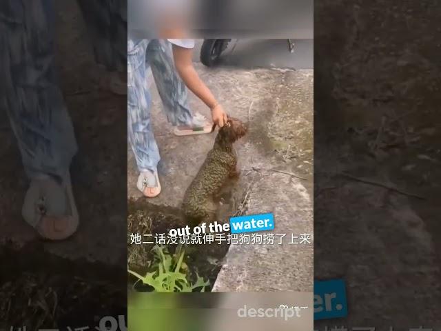 This mother saves a drowning dog on her way home