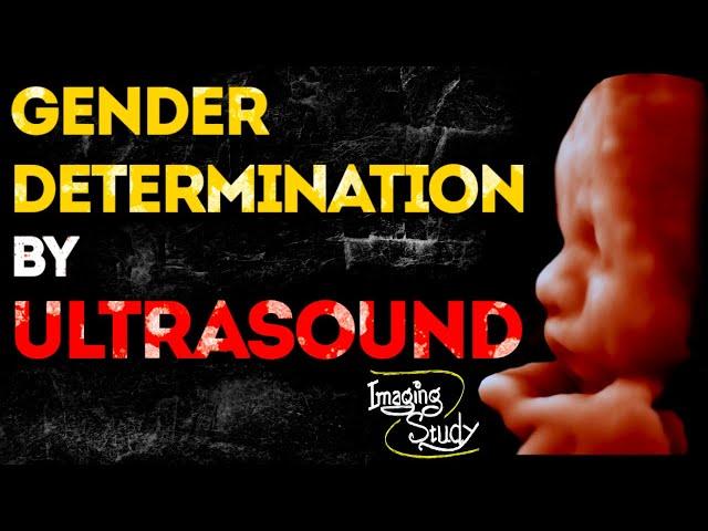 Gender Determination by Ultrasound - Imaging Study Lecture