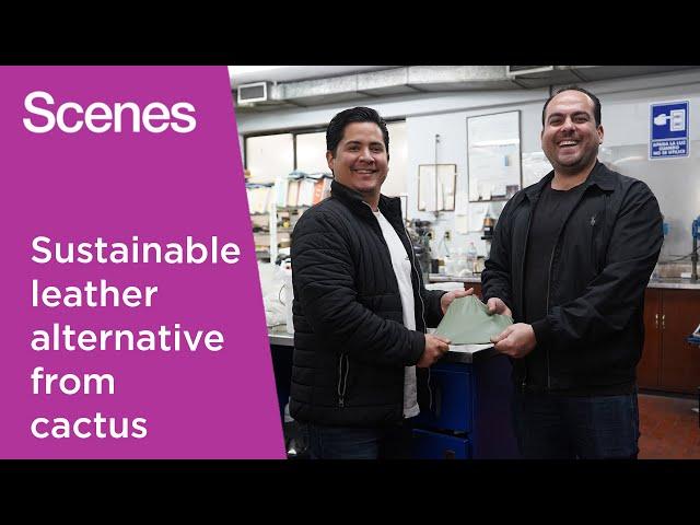 Watch: The Mexican duo making sustainable leather from succulents | Scenes