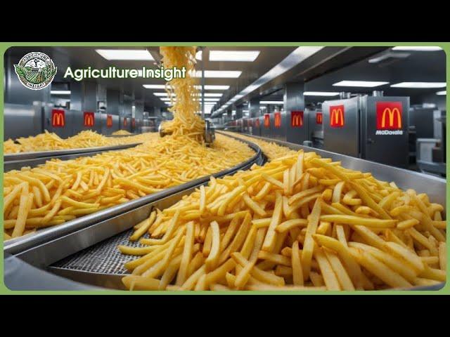 Inside French Fries Mega Factory | Amazing Potato Processing Technology