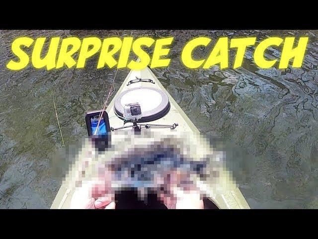 Unexpected Catch Saves Tough Day of Ultralight Fishing