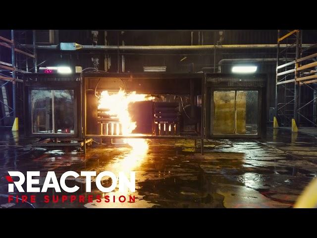 Reacton - SPCR 199 - Test 8 CAT III [Systems Testing]