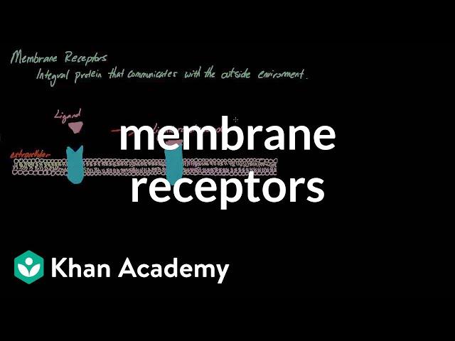 Membrane Receptors | Nervous system physiology | NCLEX-RN | Khan Academy