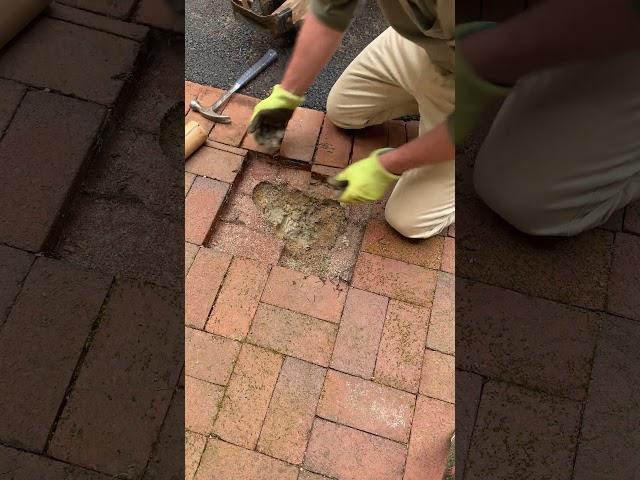 Quick Brick Repair