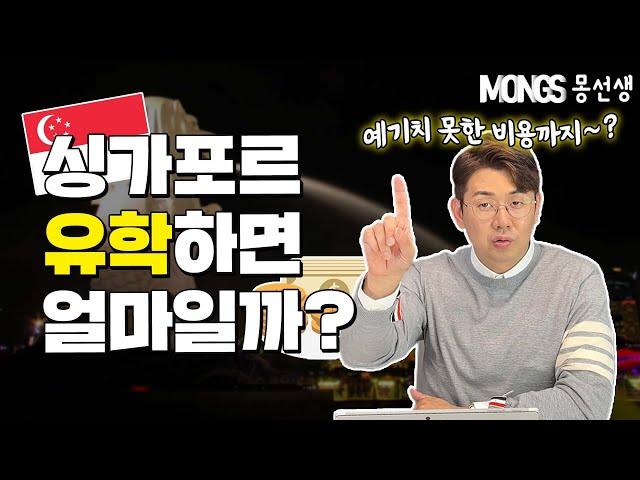 싱가폴유학 비용 총 정리! (대학 학비/생활비/숙소비)
