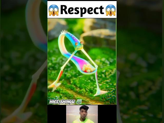 Respect  || Amazing animal || #shorts #viral #respectaz07