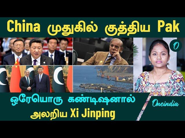 China முதுகில் குத்திய Pak...ஒரேயொரு கண்டிஷனால் அலறிய Xi Jinping| Oneindia Tamil