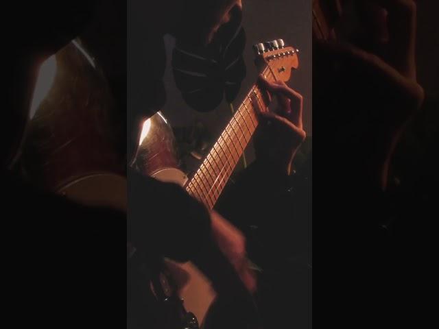 The notes you don't play