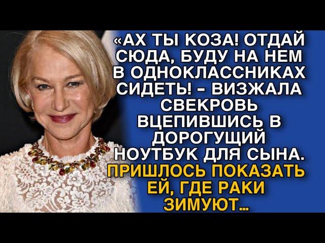 «АХ ТЫ КОЗА! ОТДАЙ СЮДА, БУДУ НА НЕМ В ОДНОКЛАССНИКАХ СИДЕТЬ! - ВИЗЖАЛА СВЕКРОВЬ…