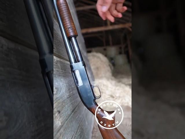 Крутой дробовик США "Окопная метла" Winchester 1912 года #охота #оружие #hunter #shotgun #gun