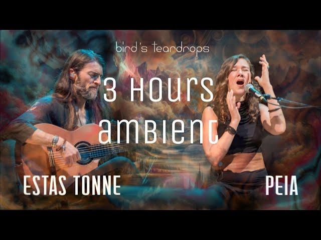 Bird's Teardrops - 3 Hours Ambient - Estas Tonne feat. Peia Luzzi - Ethereal Cinematic Slowed Down