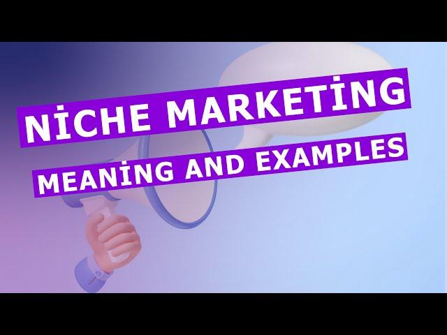 Niche marketing meaning and  Examples