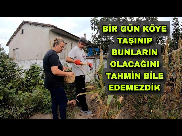 BİR GÜN KÖYE TAŞINIP BUNLARIN OLACAĞINI TAHMİN BİLE EDEMEZDİK - HERŞEY YAVAŞ YAVAŞ GERÇEK OLUYOR.