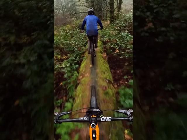 Stressful Mountain Bike Trail!