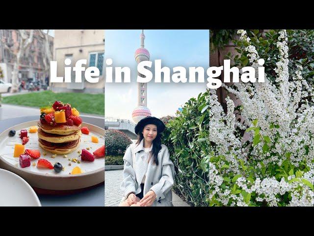 Lujiazui & Let's Talk about Tax | Fancie in Shanghai Ep.13