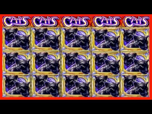 JACKPOT HANDPAY$300 BETSCATS HIGH LIMIT SLOT MACHINE BUENO DINERO MUSEUM SLOTS IGT