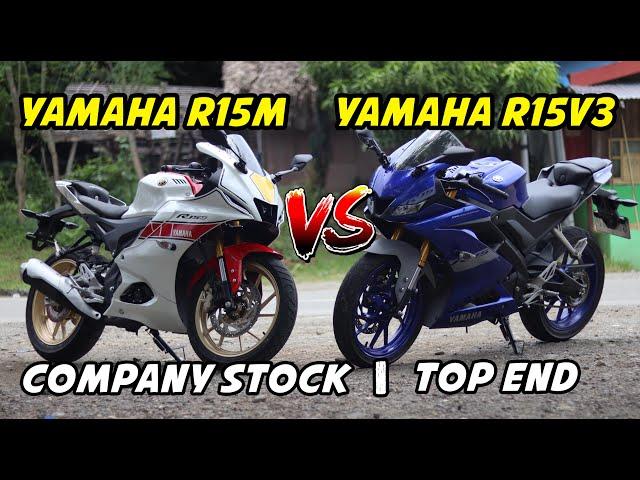 YAMAHA R15M vs YAMAHA R15v3 | COMPANY STOCK | TOP END